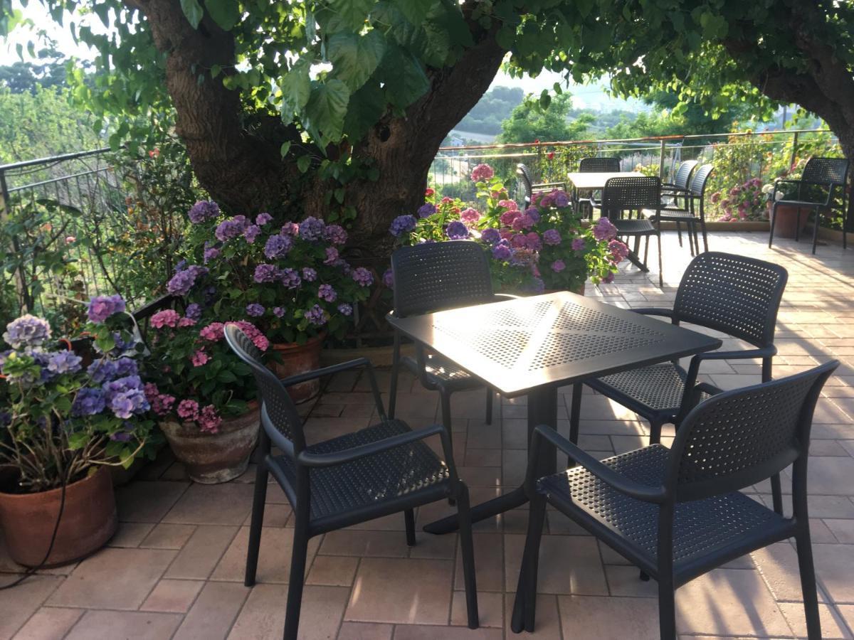 La Casa Sul Golfo Bed & Breakfast Ancona Ngoại thất bức ảnh